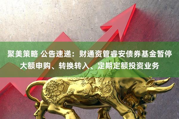 聚美策略 公告速递：财通资管睿安债券基金暂停大额申购、转换转入、定期定额投资业务