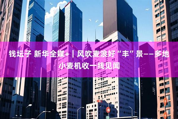 钱坛子 新华全媒+｜风吹麦浪好“丰”景——多地小麦机收一线见闻