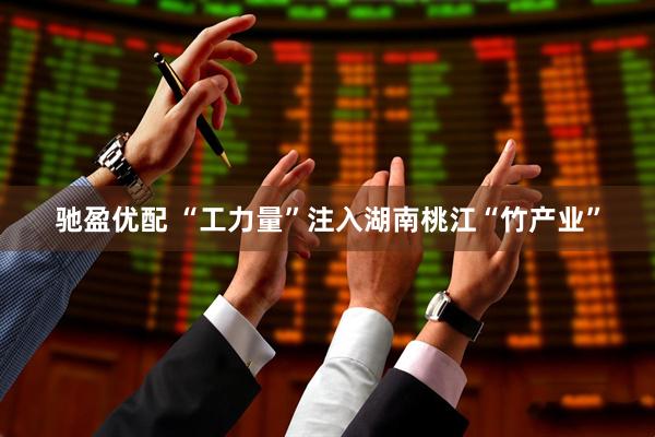 驰盈优配 “工力量”注入湖南桃江“竹产业”