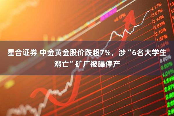 星合证券 中金黄金股价跌超7%，涉“6名大学生溺亡”矿厂被曝停产