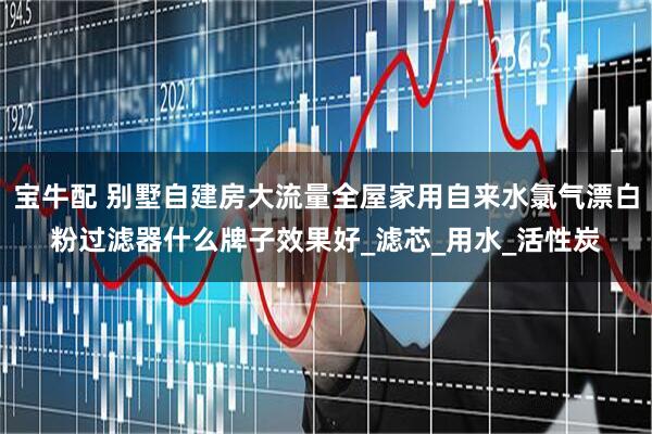宝牛配 别墅自建房大流量全屋家用自来水氯气漂白粉过滤器什么牌子效果好_滤芯_用水_活性炭