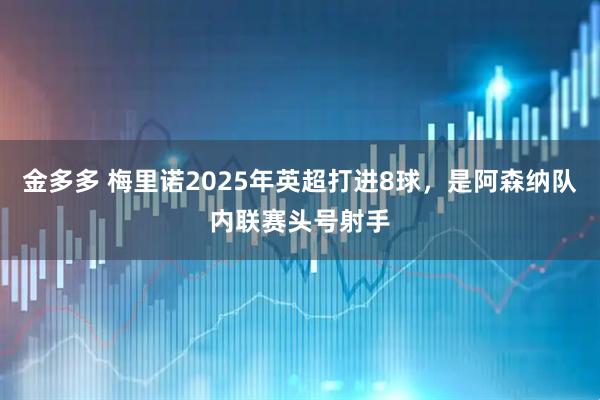 金多多 梅里诺2025年英超打进8球，是阿森纳队内联赛头号射手