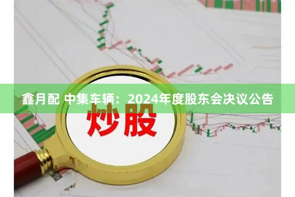鑫月配 中集车辆：2024年度股东会决议公告